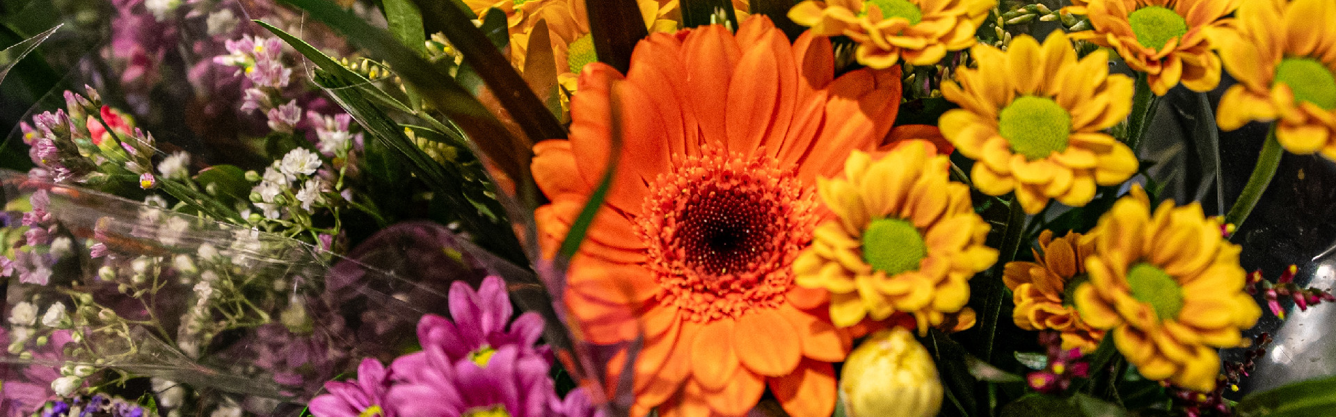 Blumen Floristikabteilung  klein